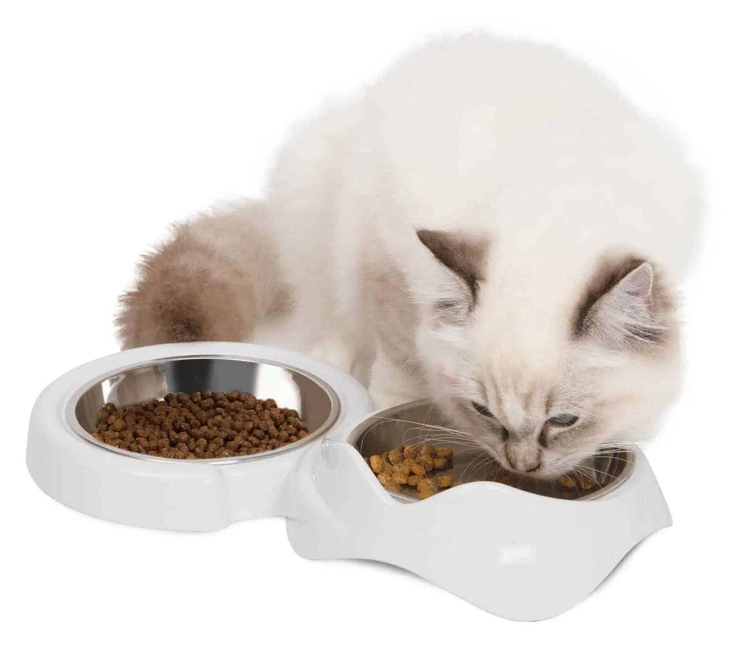 Catit PIXI Double Feeding Dish/CatitフィーディングディッシュW