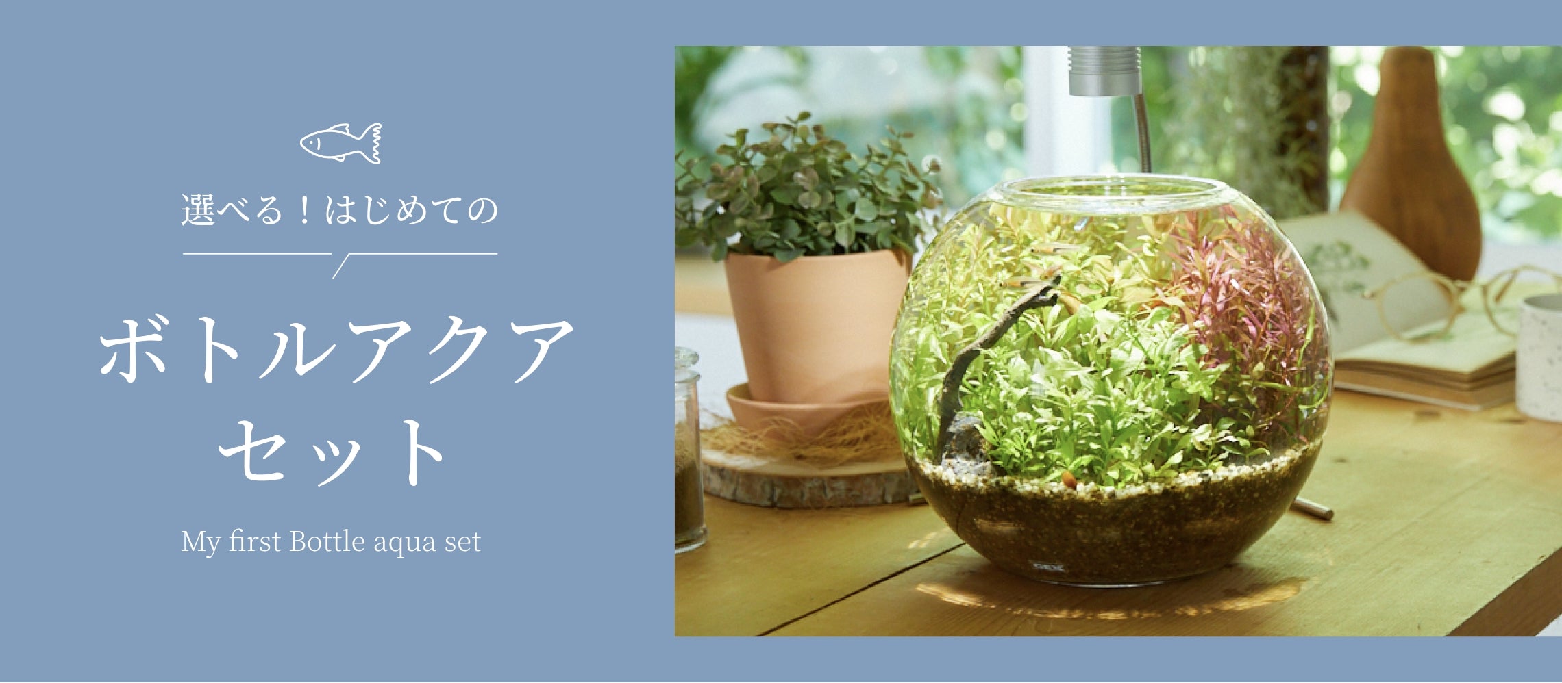 Aqua Beginner Set Hero Image