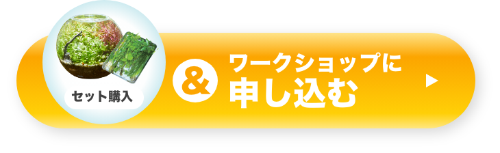 セット購入&ワークショップに申し込む