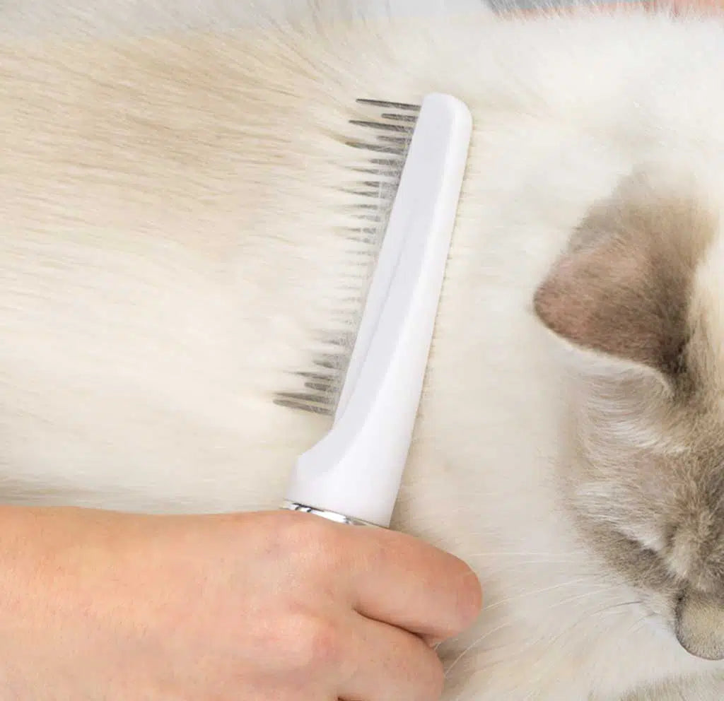 Catit Longhair Grooming Kit/CatitグルーミングキットLongH