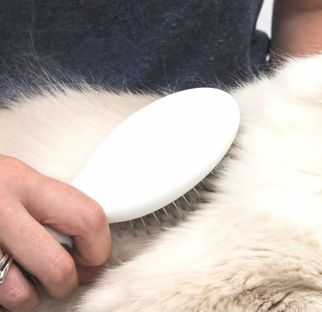 Catit Longhair Grooming Kit/CatitグルーミングキットLongH