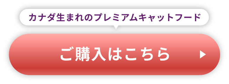 ご購入はこちら