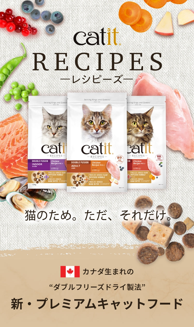基礎から学ぶ猫の繁殖ハンドブック ｃａｔ　ｂｒｅｅｄｉｎｇ/ＥＤＵＷＡＲＤ　Ｐｒｅｓｓ/ダン・ライス（単行本） Amazon.co.jp: 基礎から学ぶ猫の繁殖ハンドブック: cat breeding