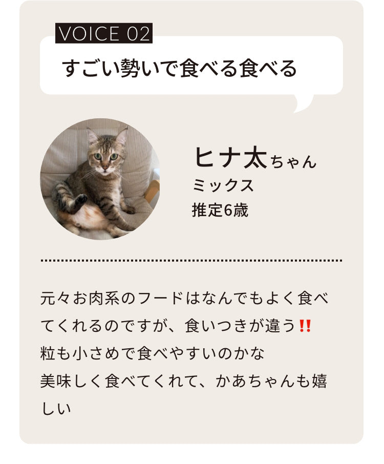 元々お肉系のフードはなんでもよく食べてくれるのですが、食いつきが違う‼️粒も小さめで食べやすいのかな美味しく食べてくれて、かあちゃんも嬉しい