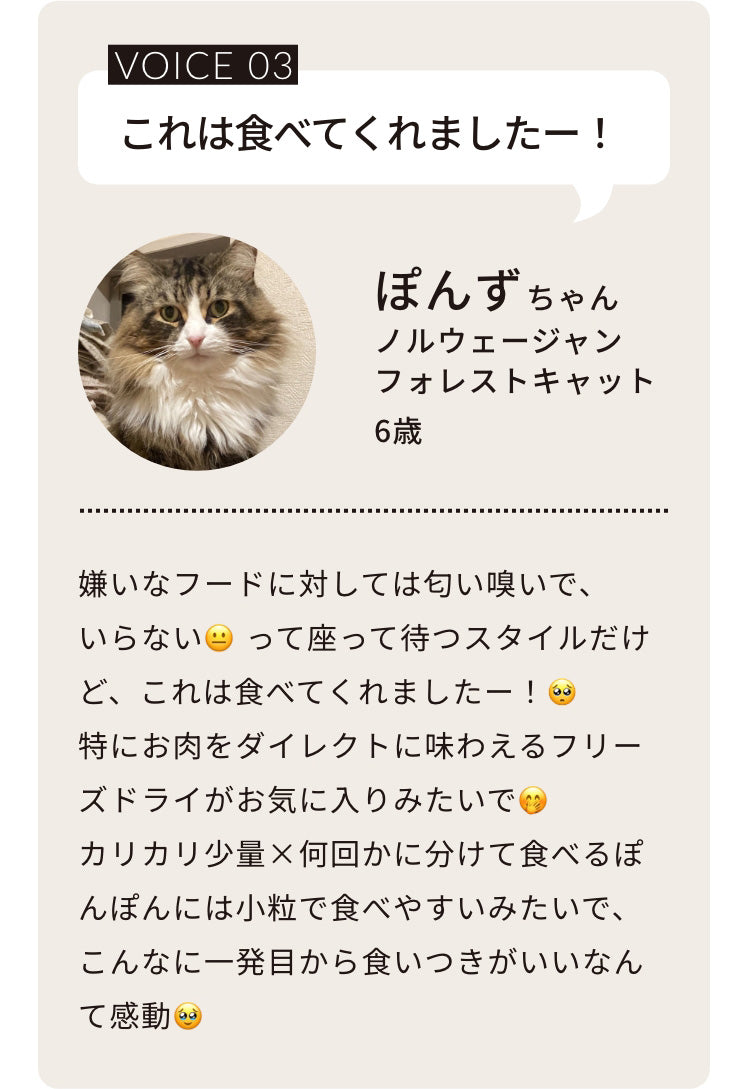 嫌いなフードに対しては匂い嗅いで、いらない😐って座って待つスタイルだけど、これは食べてくれましたー！🥺特にお肉をダイレクトに味わえるフリーズドライがお気に入りみたいで🤭カリカリ少量×何回かに分けて食べるぽんぽんには小粒で食べやすいみたいで、こんなに一発目から食いつきがいいなんて感動🥹