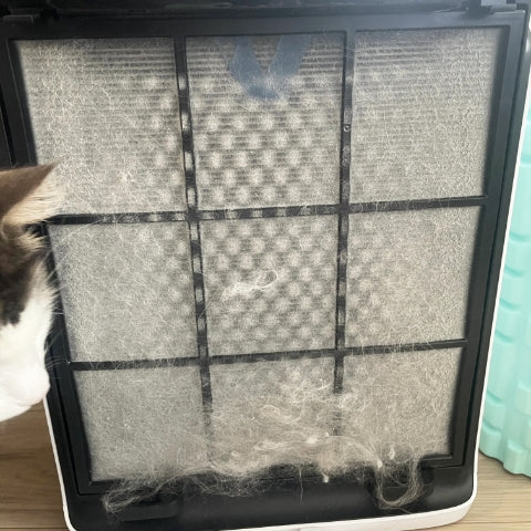 一般的な空気清浄機