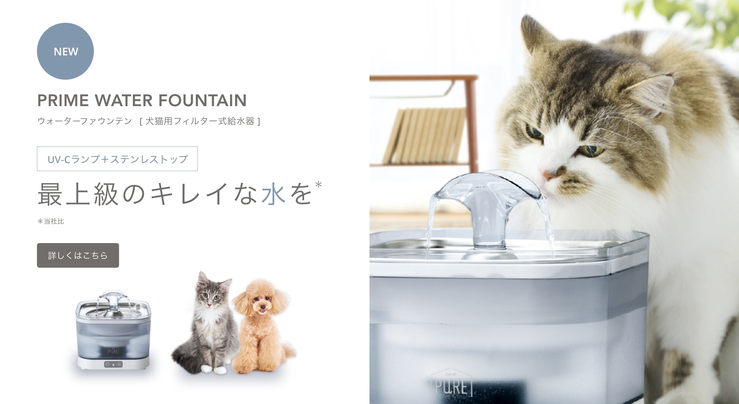 HOME | PURE（ピュア）公式オンラインショップ