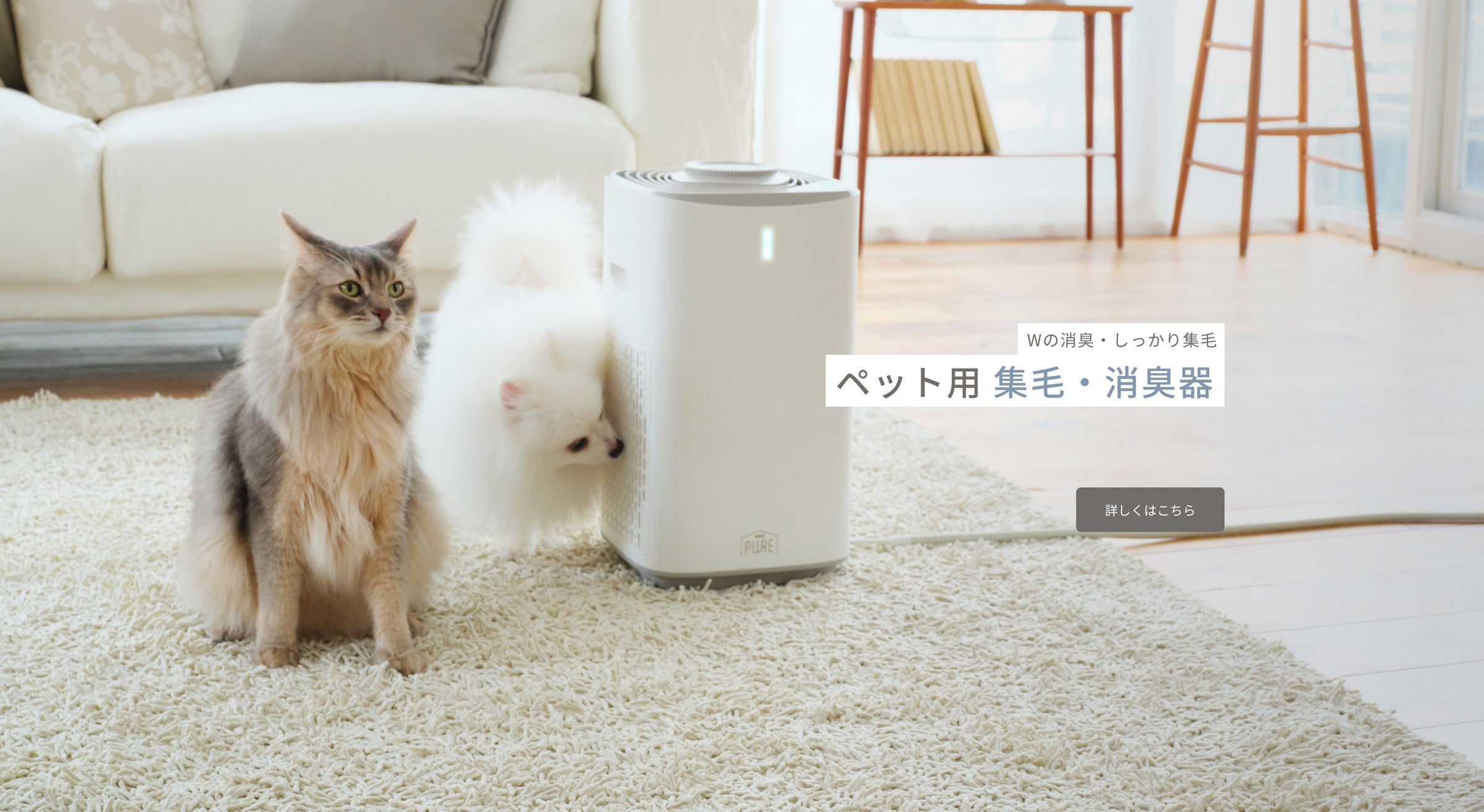 HOME | PURE（ピュア）公式オンラインショップ