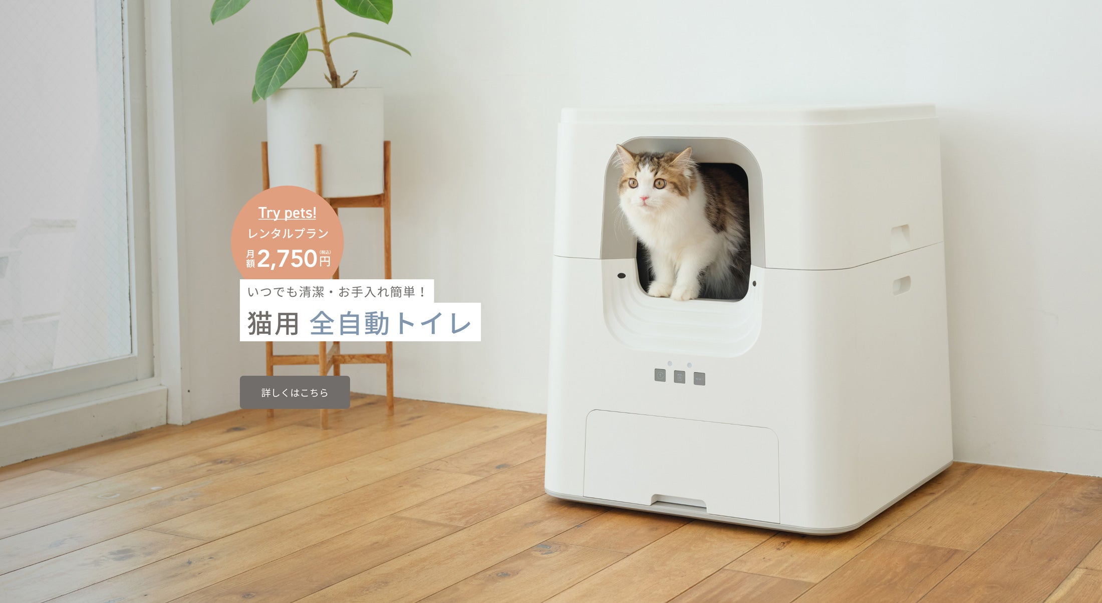 HOME | PURE（ピュア）公式オンラインショップ