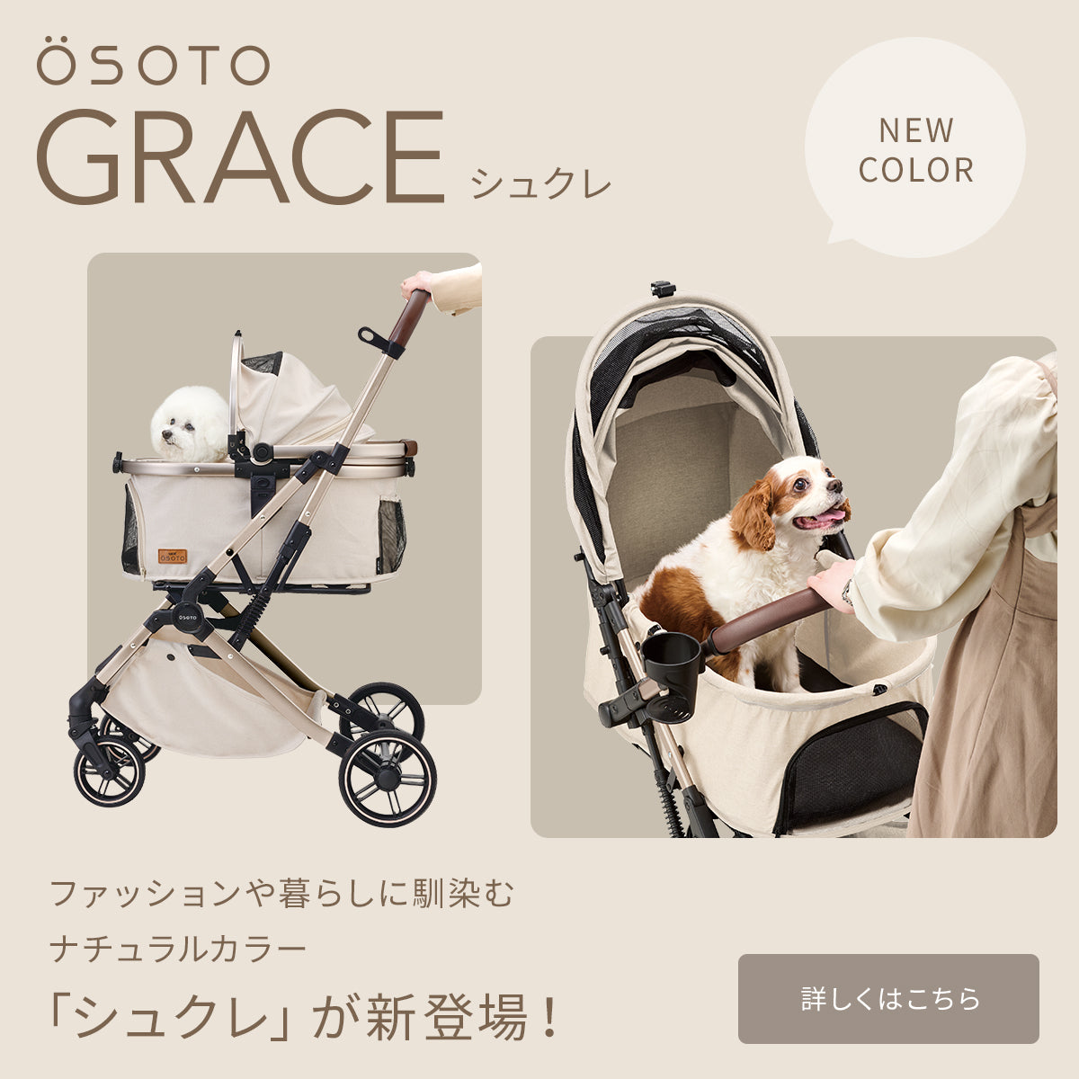 G-PET Online | ジェックス 公式オンラインショップ